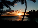 hawaiiansunsetwithpalmtrees1.jpg